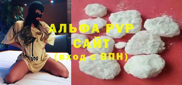 ПСИЛОЦИБИНОВЫЕ ГРИБЫ Богданович