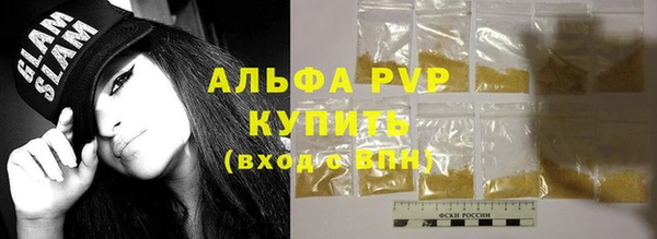 ПСИЛОЦИБИНОВЫЕ ГРИБЫ Богданович