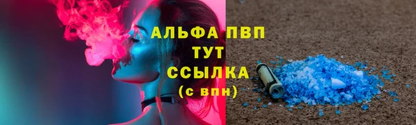 ПСИЛОЦИБИНОВЫЕ ГРИБЫ Богданович