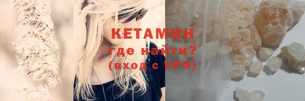 ПСИЛОЦИБИНОВЫЕ ГРИБЫ Богданович