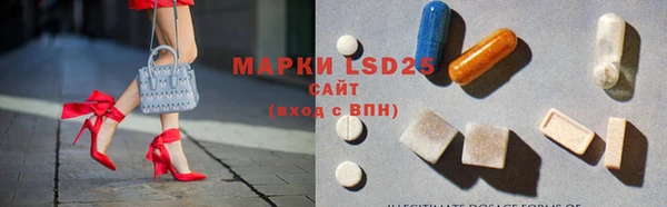 ПСИЛОЦИБИНОВЫЕ ГРИБЫ Богданович