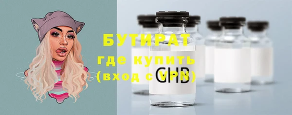 ПСИЛОЦИБИНОВЫЕ ГРИБЫ Богданович
