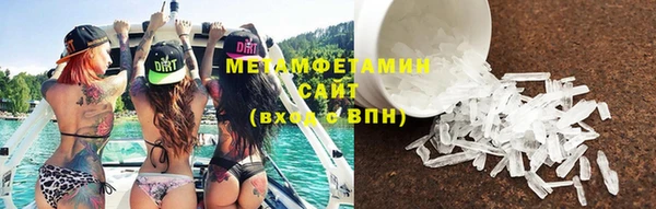 ПСИЛОЦИБИНОВЫЕ ГРИБЫ Богданович